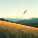 On the Wind