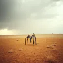 The Last Rodeo