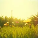 Simple little life