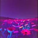 Bright Tomorrows