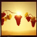 \\Water2Wine//