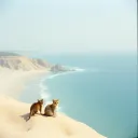 Königin im Meer