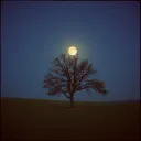 Lost In The Night