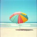 Summer Days in Our Haze