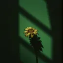 Gone