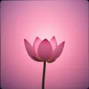 Meta (love) body mediation