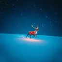 Its Christmas