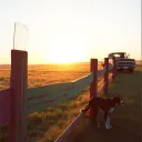Mr. G’s Fence Line