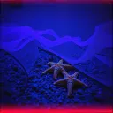 Starfish on the Ocean Floor