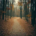 I Walk Alone