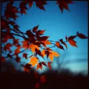 Falling for You