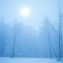 Belle Soirée d'Hiver