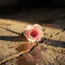 You are Pressure, girl!