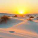 Harmony in the Desert
