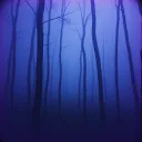Into the Darkness