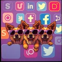 Social media gangsters