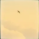 I just glide