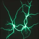 Genesis Algorithmus