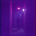 Silent Shadows