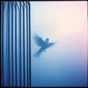 Breaking Free