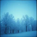 A Winter's Breath