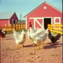 Clucky Wucky Wake-Up