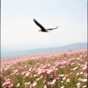 Psalm 103