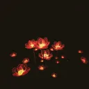 The Fractal Blooms