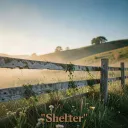 The shelter beside me
