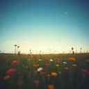 A Better Tomorrow
