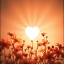 Chasing Love