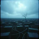 Mind Wars
