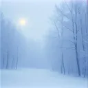 Belle Soirée d'Hiver