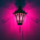 Gypsy in the Night