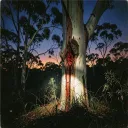 Red Dust Answer