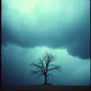 Sorrow of the harbinger