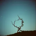 LOVE is CINTA