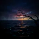 Echoes in the Abyss