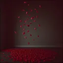 桜、散る ( 樱花，凋零)