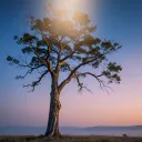 When a Loved One Dies