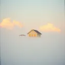 Home Beyond the Storm