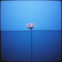 Drowning