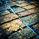 Fissures