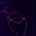 Chains of love