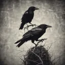 Shadow's revenge 