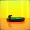 Anaconda
