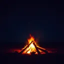 YOUNG FIRE [RISING MX]