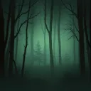 Shadows Underneath