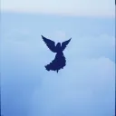 Verliebt in einen schwarzen Engel