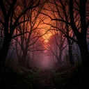 Shadows of Our Love